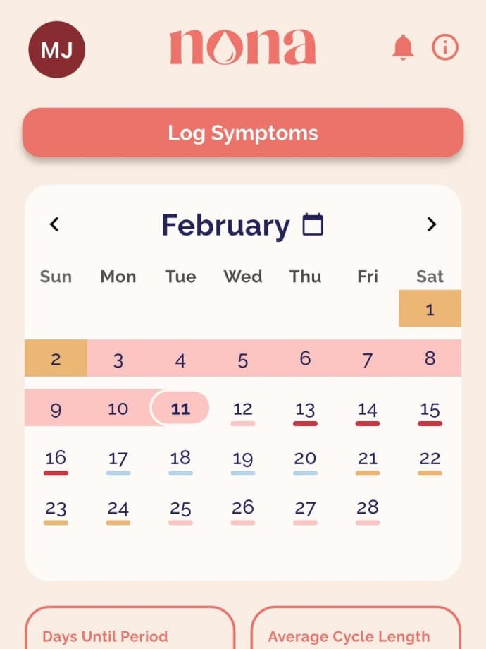 Codedoc team on-site project photo